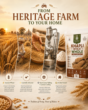 Khapli Wheat Whole from heritage farm to home